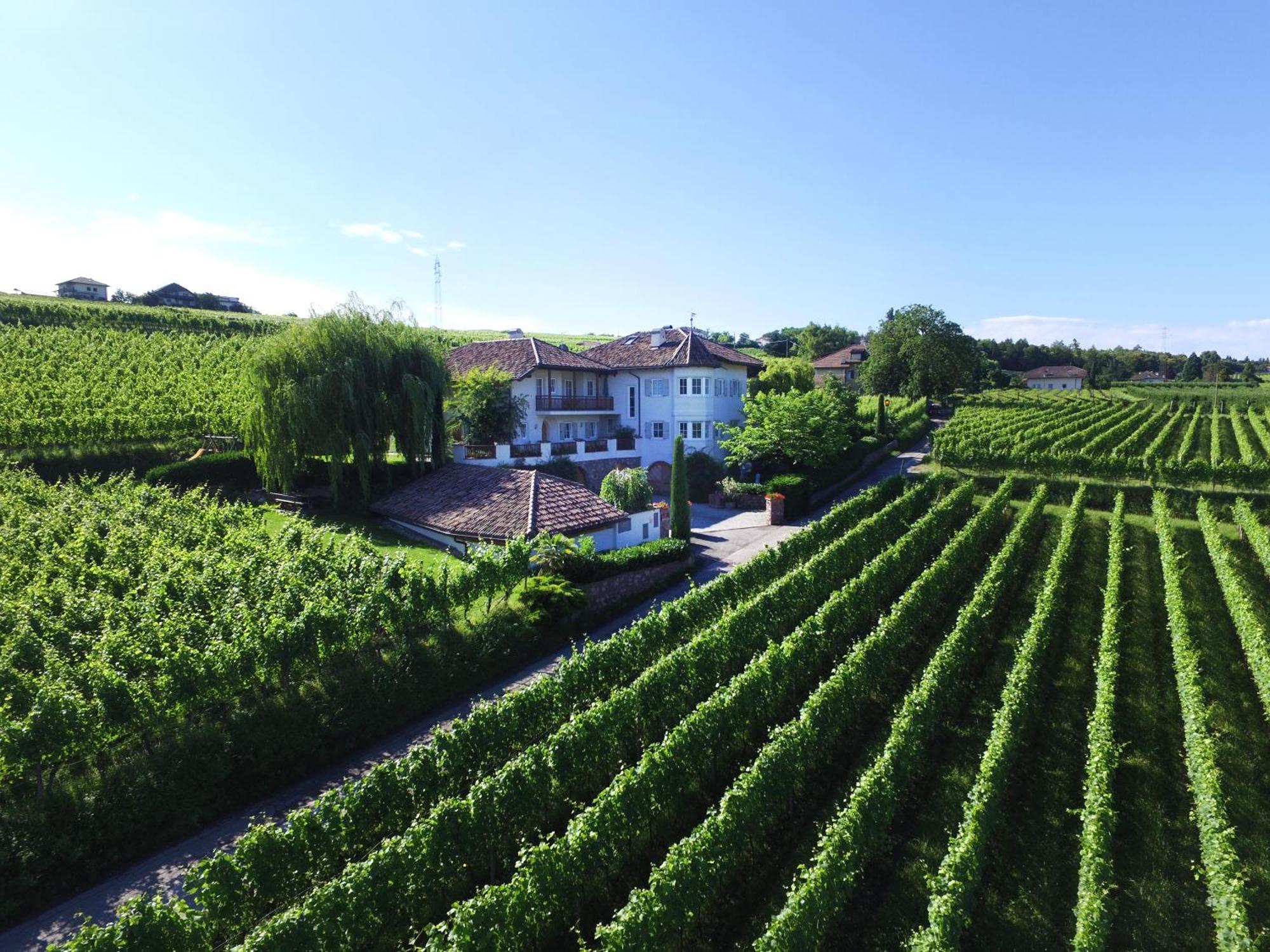 Weinhof Mumelter Apartment Appiano Sulla Strada Del Vino Exterior foto